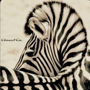 Hi I’m Colette! I love 💕 JESUS & Style!!